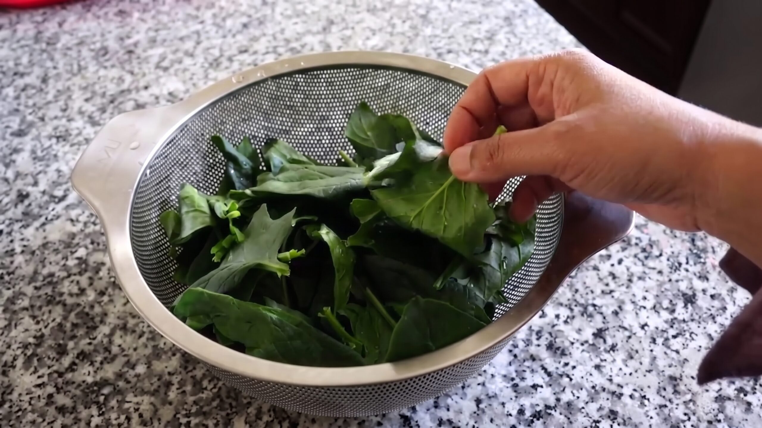 Blanched spinach transferred immediately into an ice-cold water bath to preserve color
