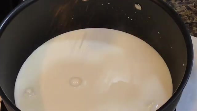 Cold milk, instant coffee, sugar, cornstarch, and salt prepared for making coffee custard