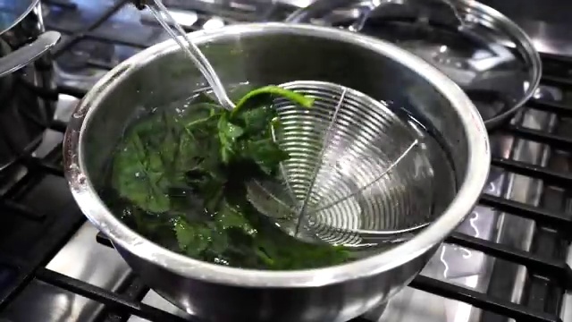Spinach, fresh coriander, green chili, and chilled water measured for blending